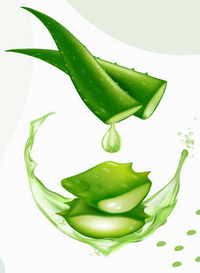 Aloe Vera Gel: Nature's Versatile Skin Solution