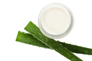 Aloe vera gel with plant against a white background.