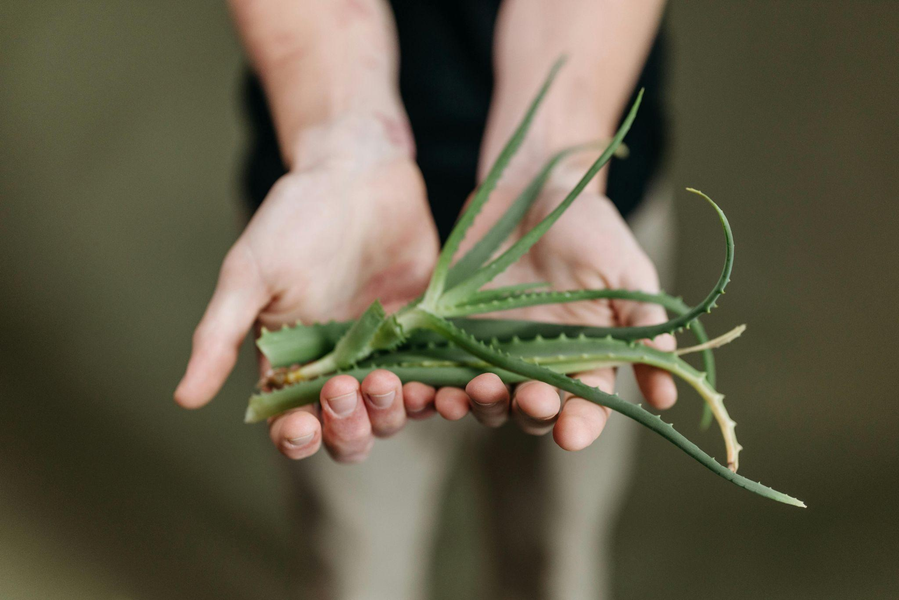 Aloe Vera Gel for Anti-Aging: Soothing Hydration Meets Skin Renewal